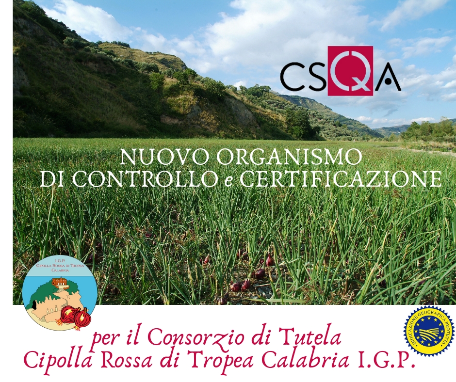 Cipolla rossa di Tropea Calabria Igp: CSQA il nuovo ente di certificazione
